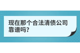 孟津为什么选择专业追讨公司来处理您的债务纠纷？